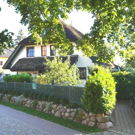 Strandflieder By Interhome Vakantiehuis