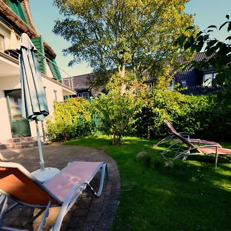 Strandflieder By Interhome Groß Zicker