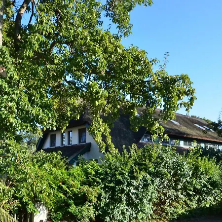 Strandflieder By Interhome Tatil Evi *